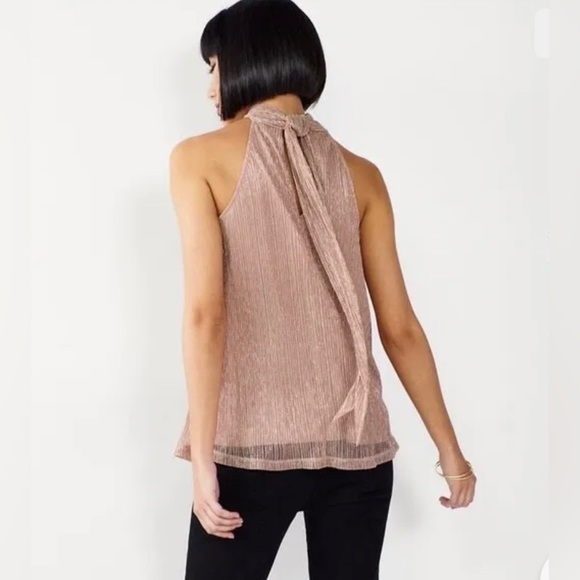 NWT Medium Rose Gold Top with Metallic Mesh Overlay - Picture 2 of 6